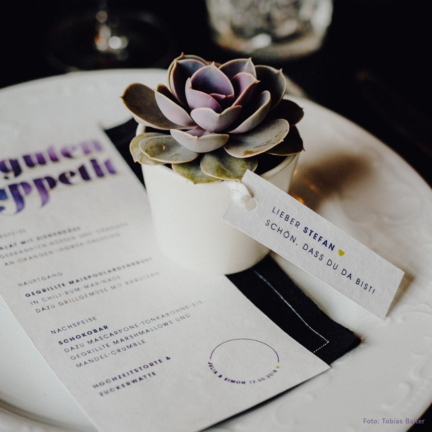 pasiora-sukkulenten-gastgeschenke-set-zum-zusammenstellen image 7