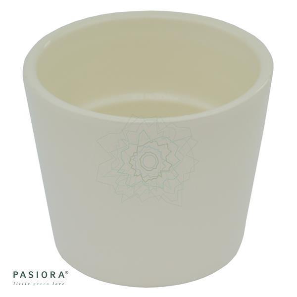 pasiora-bertopf-creme-f-r-6cm-sukkulenten-7cm image 4