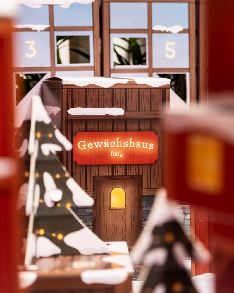 feey-pflanzen-adventskalender-winterdorf-im-morgenrot image 6