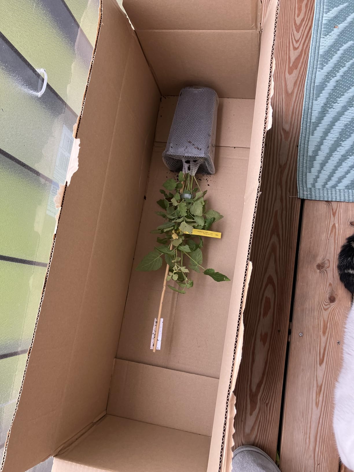 Perfekt für den Balkon