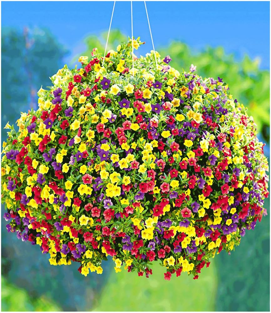 baldur-garten-zaubergl-ckchen-carneval-3-farben-im-topf image 1