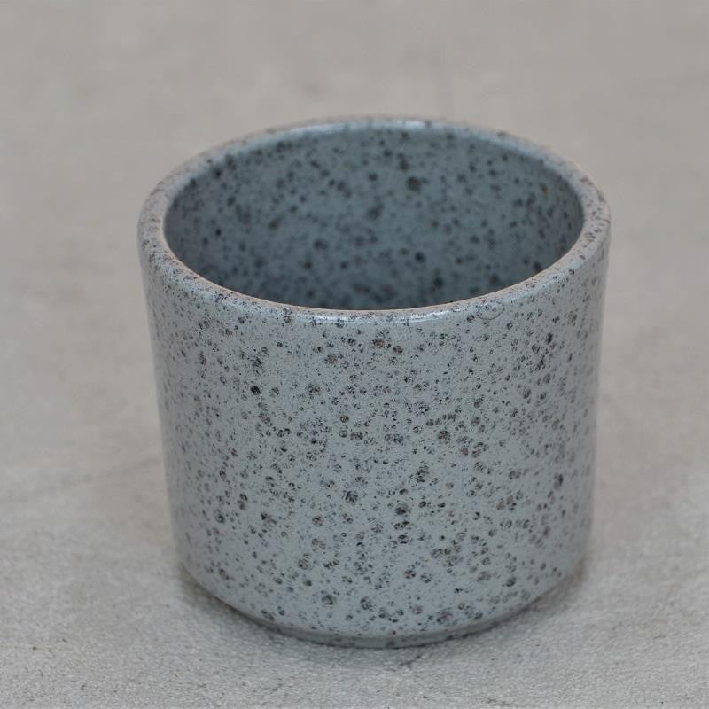 bertopf-sprinkle-party-f-r-6cm-sukkulenten-sukkulenten-zubeh-r image 1