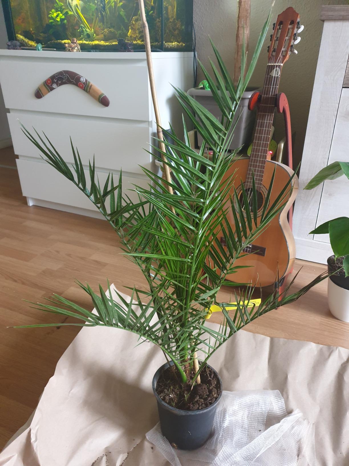 Gutes Preis-Leistung