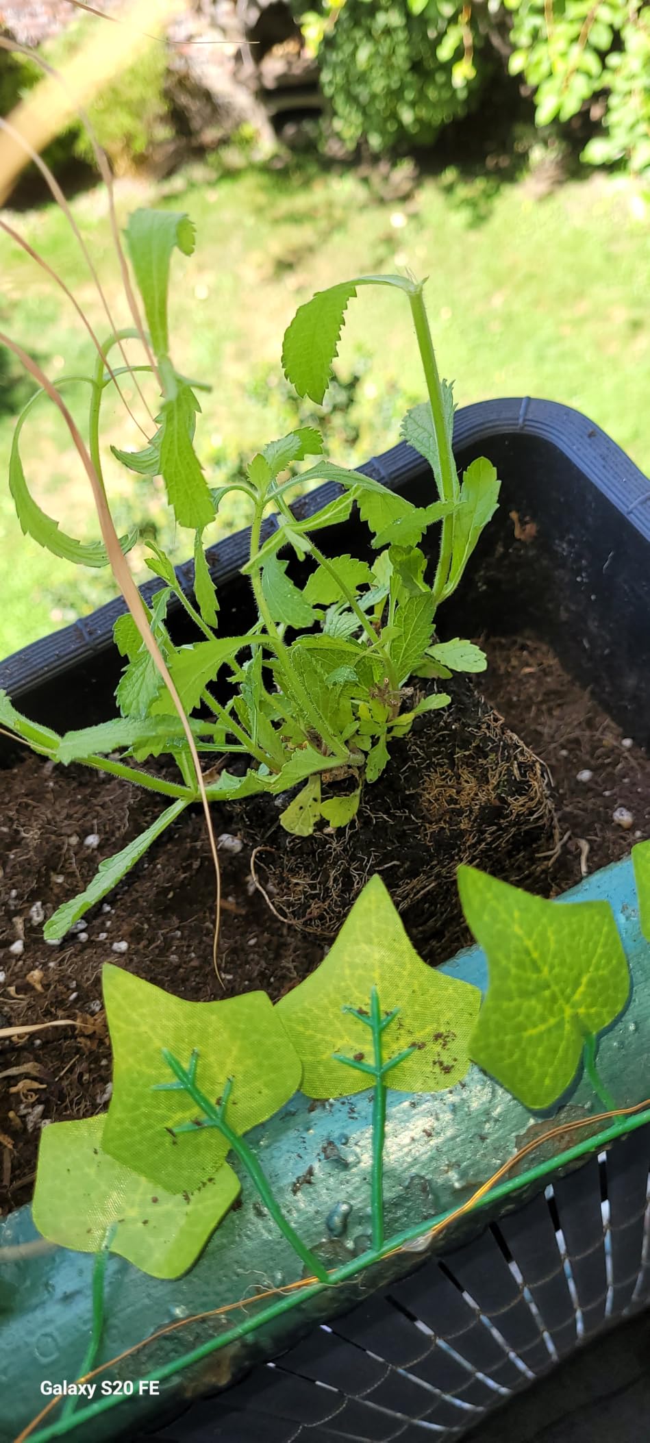 Schöne Strukturgeber