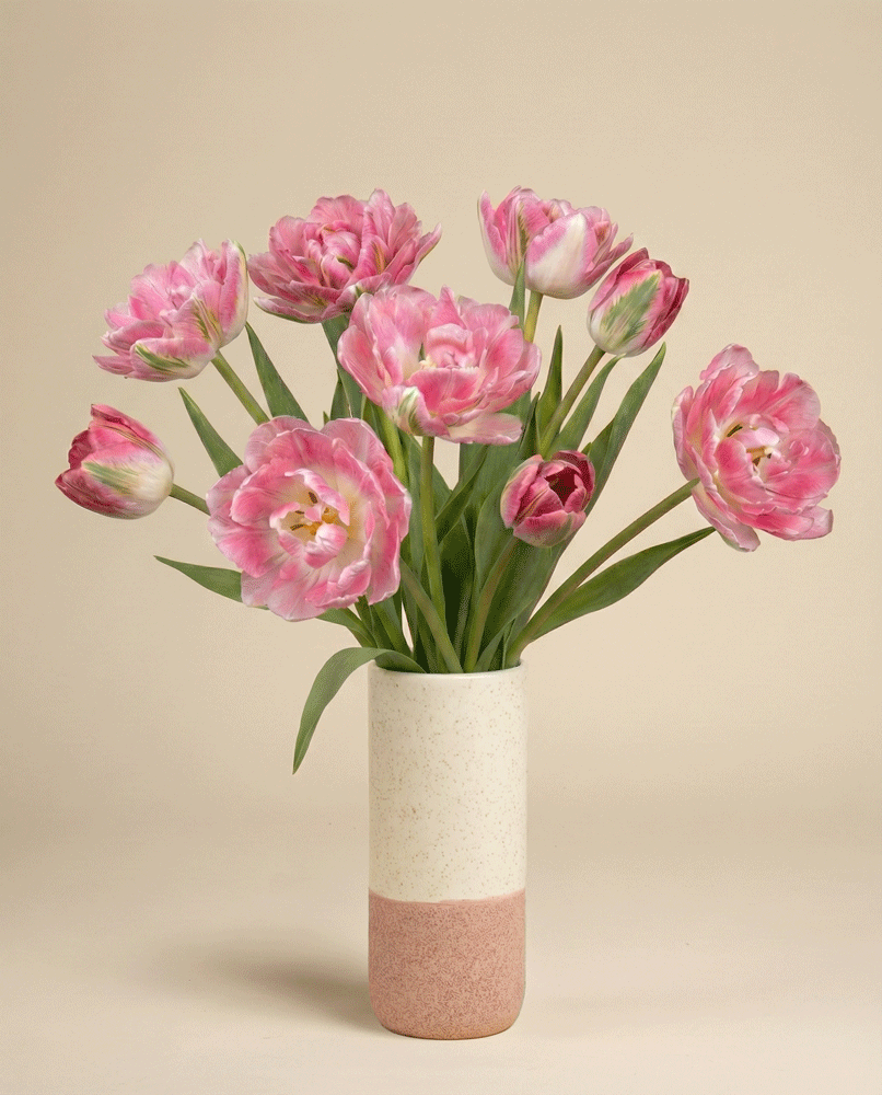 feey-tulpen-liebesgedicht-rosa-tulpenstrau image 4