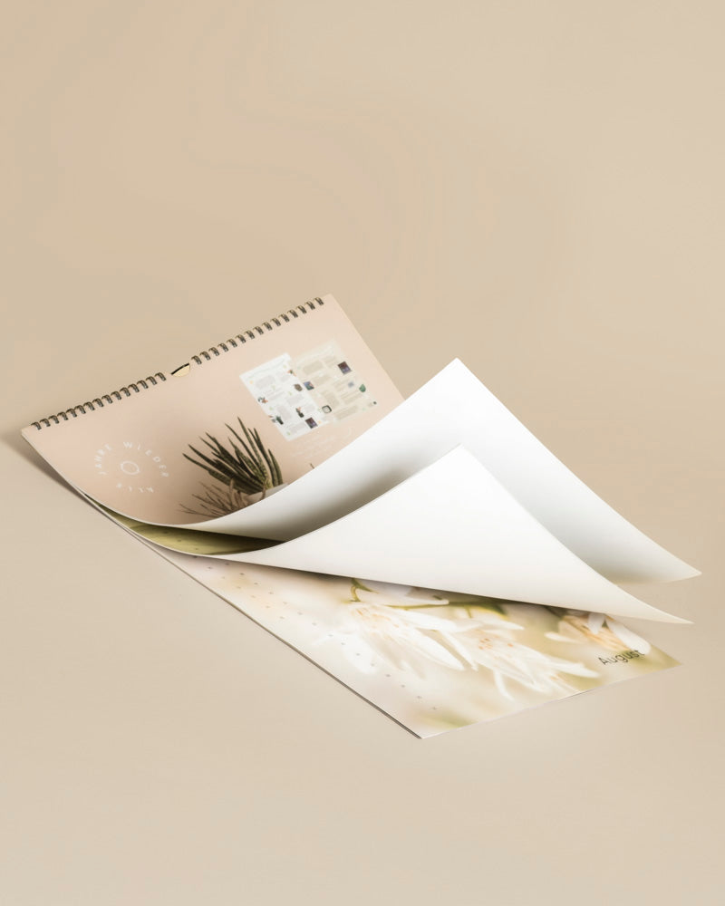 feey-pflanzenkalender-immerw-hrender-a3-kalender-mit-pflegetipps image 6