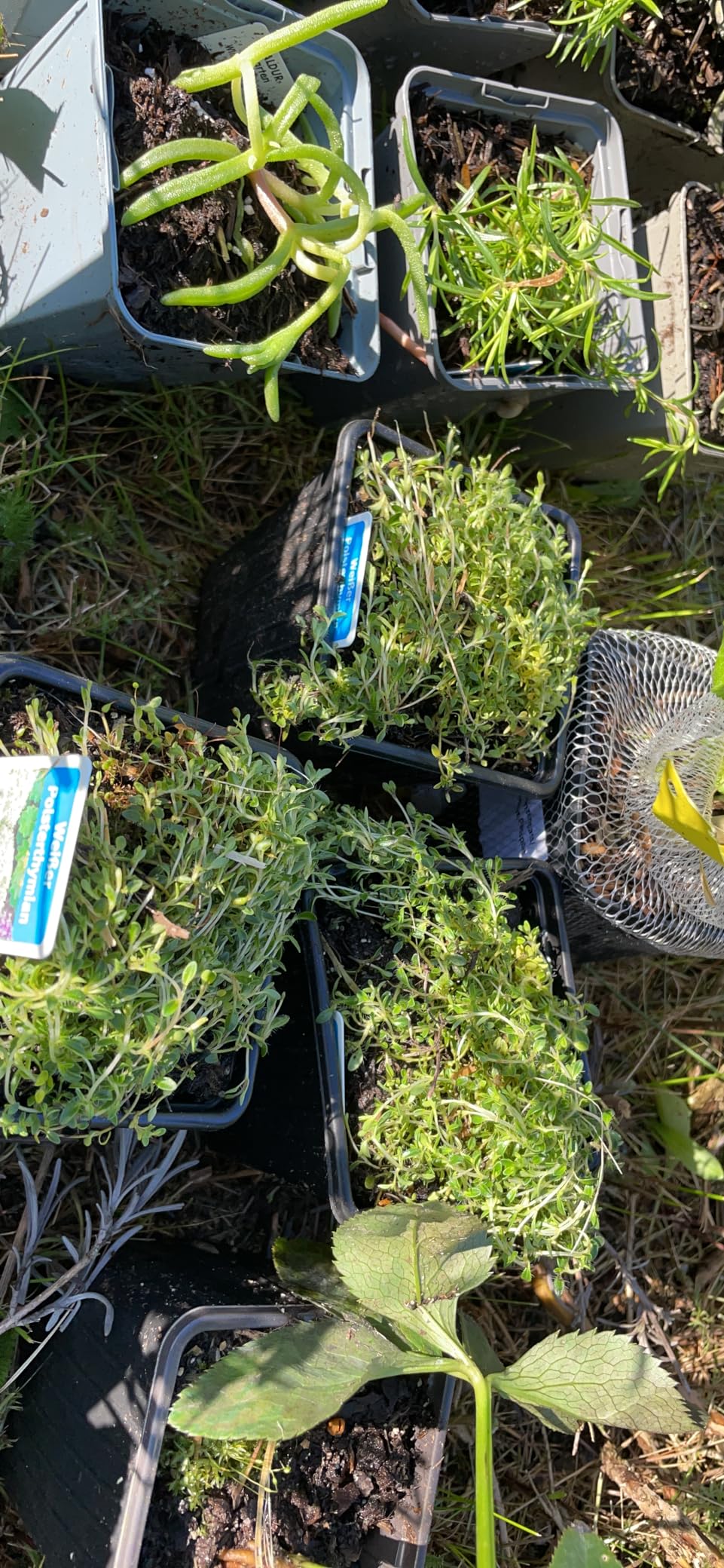 Grundsätzlich gut, aber lückenhaft im Frühjahr