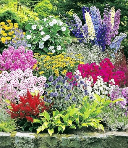 baldur-garten-staudenbeet-multi-colour-24er-set-im-7x7-cm-topf image 6