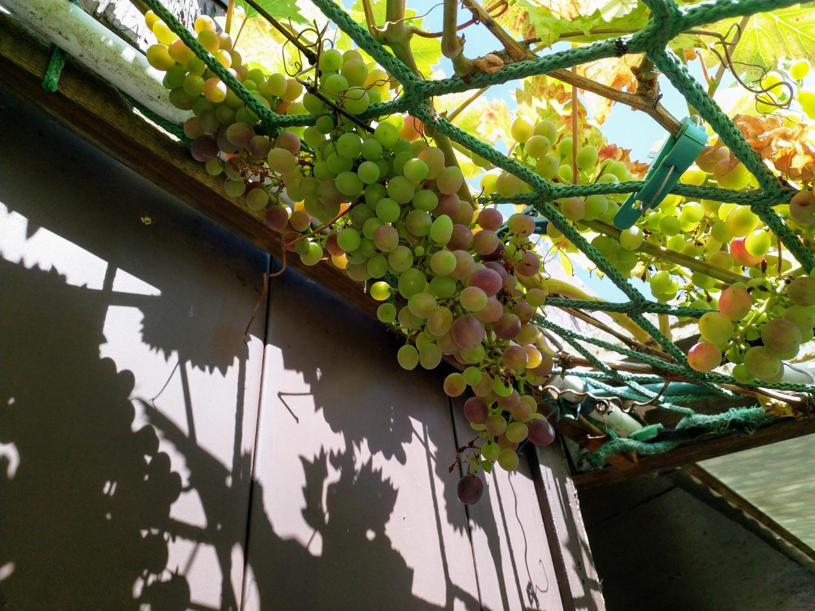 Guter Start ins Weinjahr