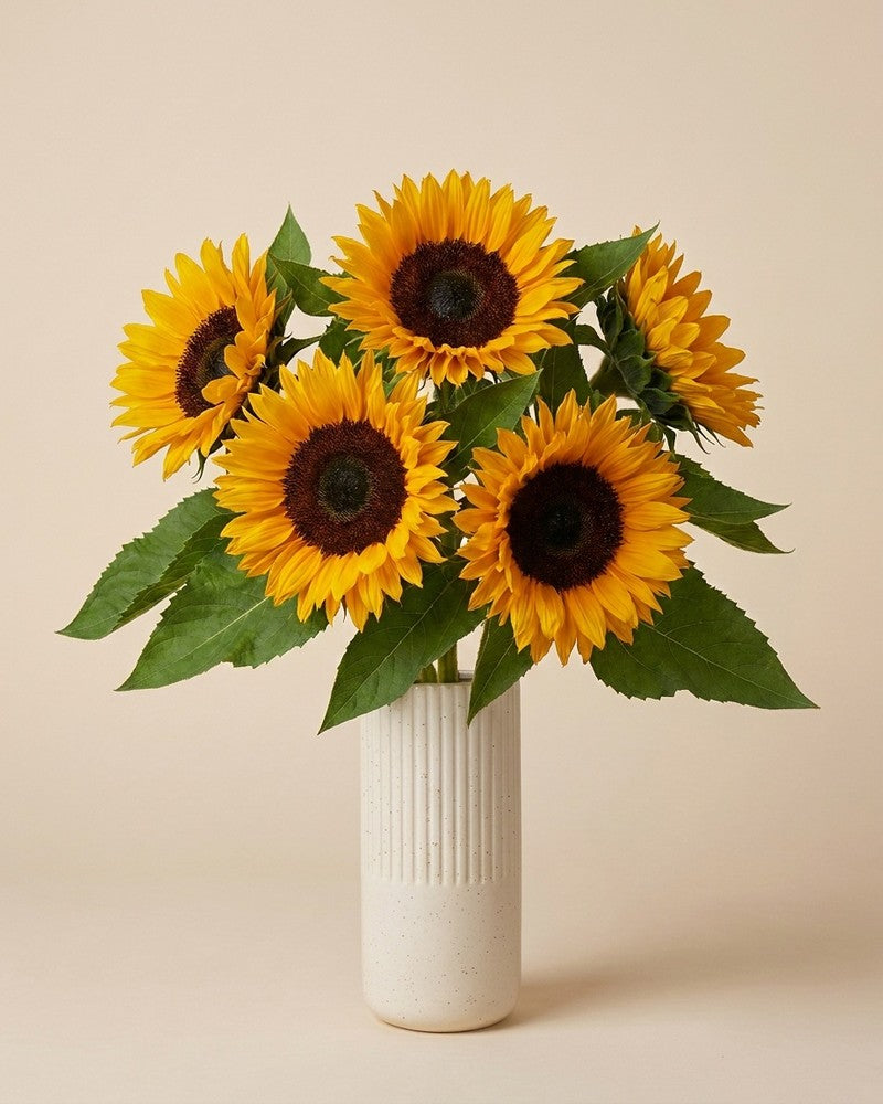 feey-sonnenblumen-schnittblumen-frische-helianthus image 7