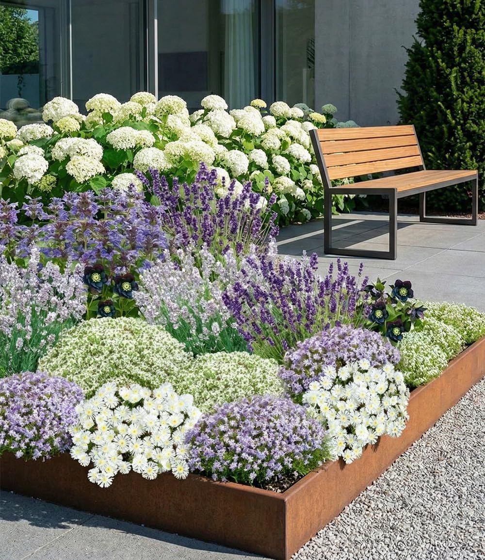 baldur-garten-19er-blau-wei-es-staudenbeet-pflanzen-im-9x9-cm-topf image 1