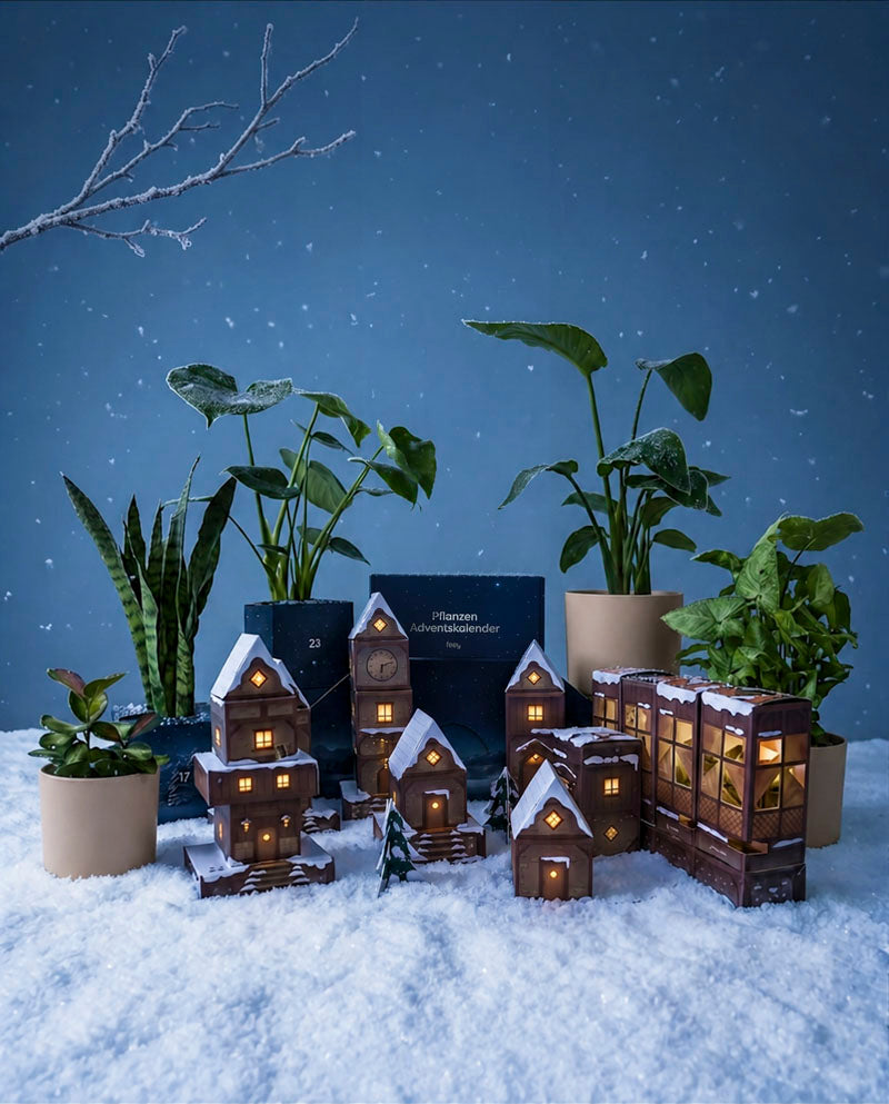 feey-pflanzen-adventskalender-winterdorf-im-abendblau-dschungel-version image 6