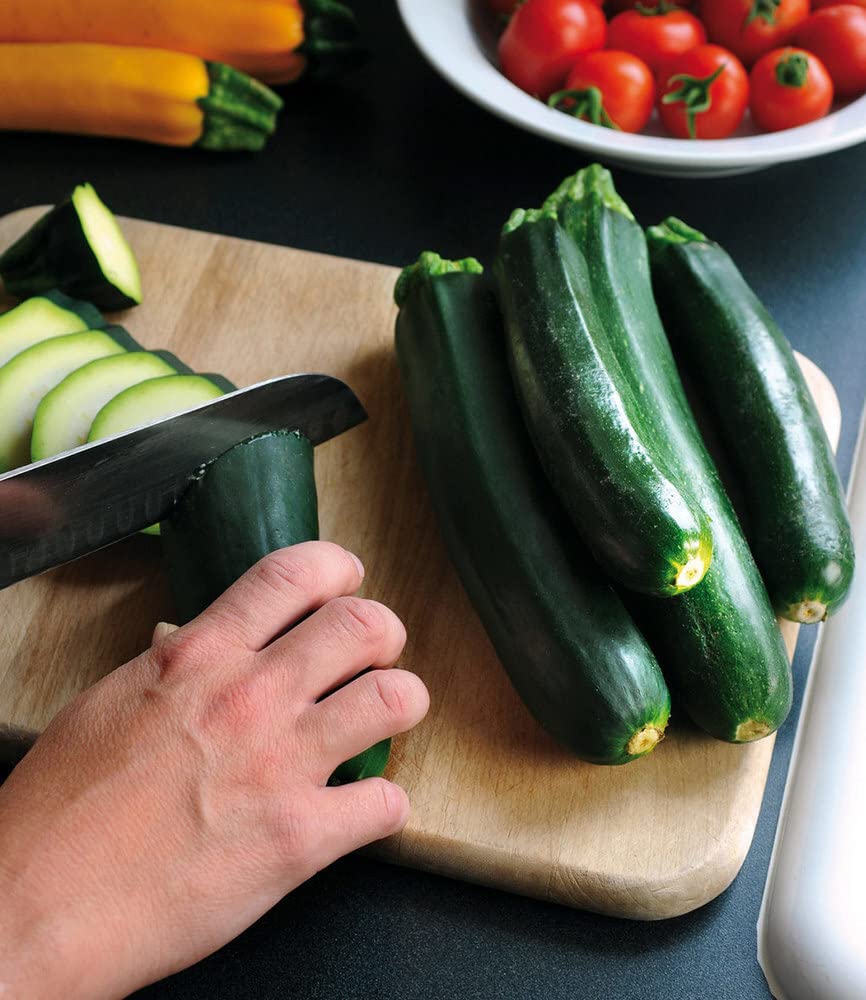 baldur-garten-topf-zucchini-easy-pick-green-f1-2-pflanzen-f-r-balkon image 4