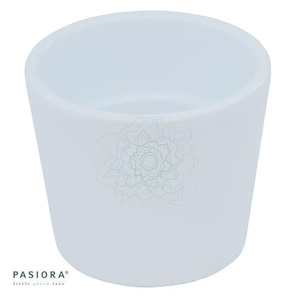pasiora-bertopf-wei-f-r-6cm-sukkulenten-7cm image 1