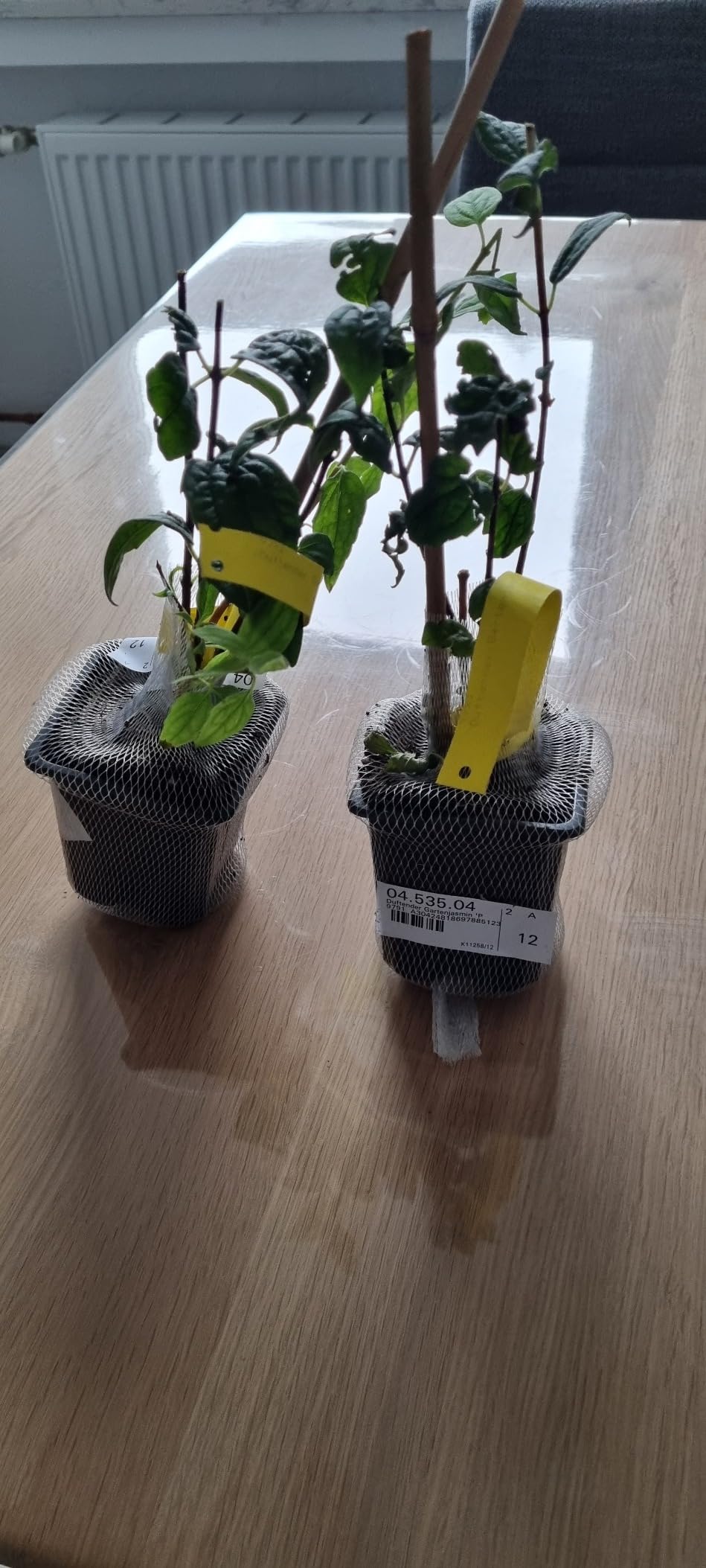 Gut verpackt angekommen