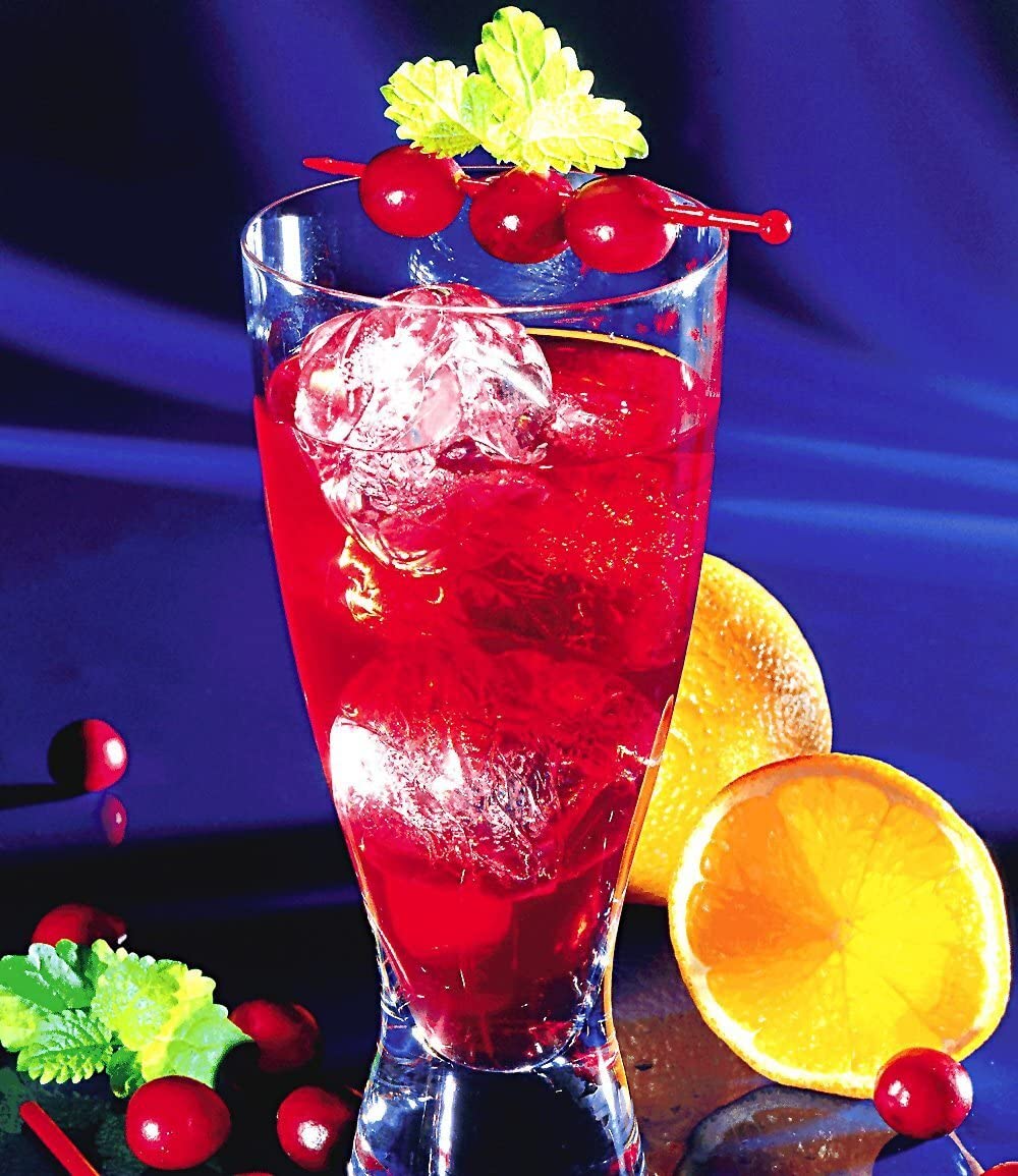 baldur-garten-cranberry-beere-moosbeere-3x-im-9x9-cm-topf image 4