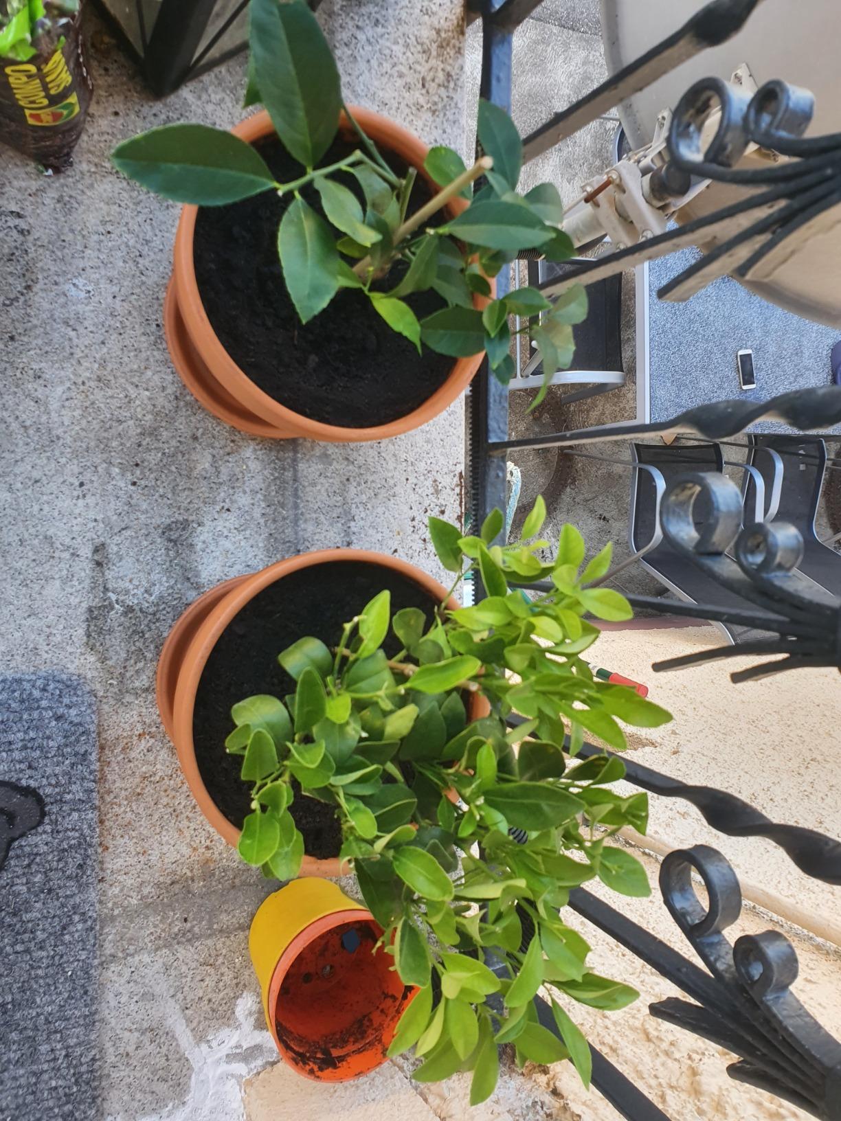 Ganz gut, braucht Eingewöhnung