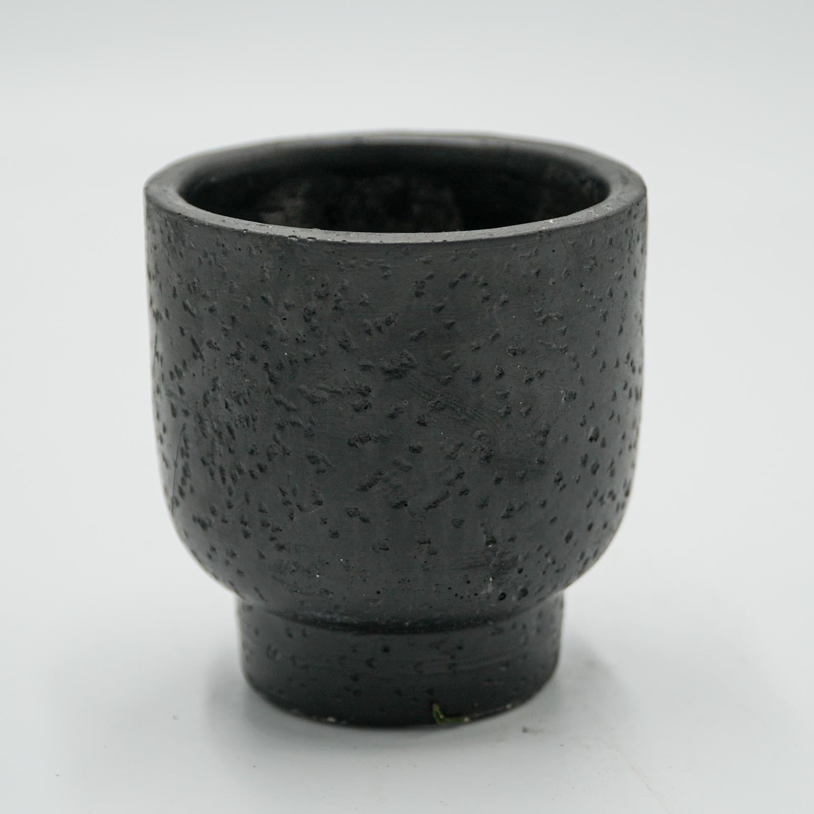 pasiora-bertopf-noelle-f-r-6cm-sukkulenten image 1