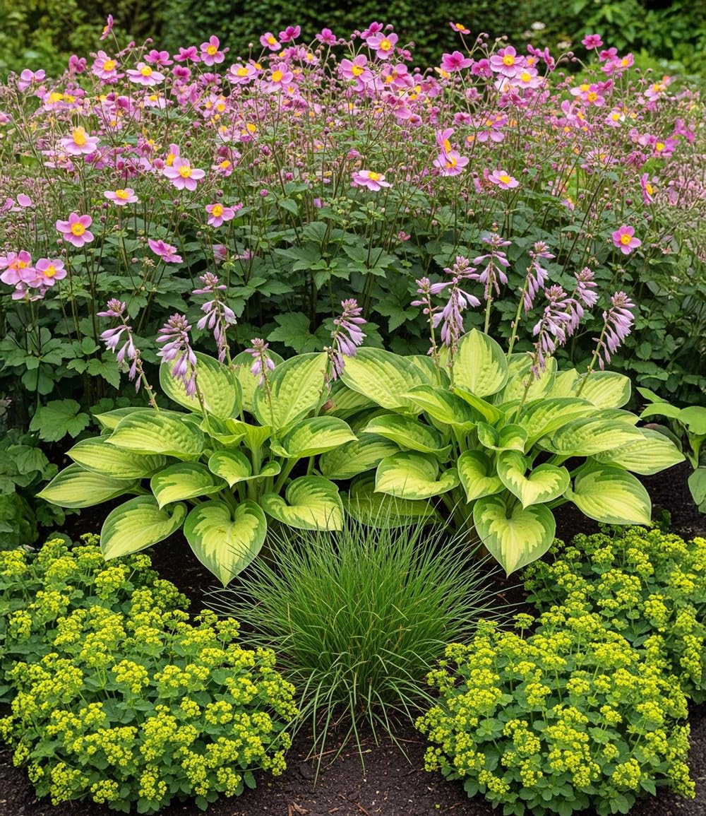 baldur-garten-staudenbeet-schattengarten-18er-set-im-9x9-cm-topf image 1