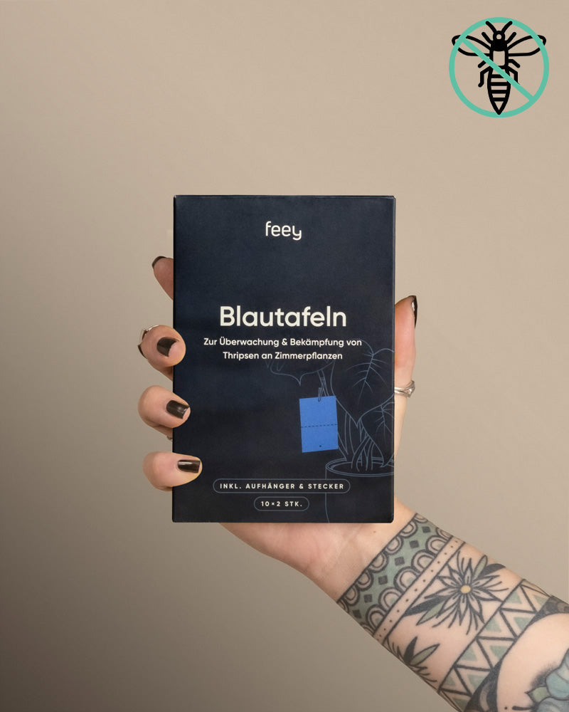 feey-blautafeln-gegen-thripse-leimfallen-f-r-zimmerpflanzen image 4