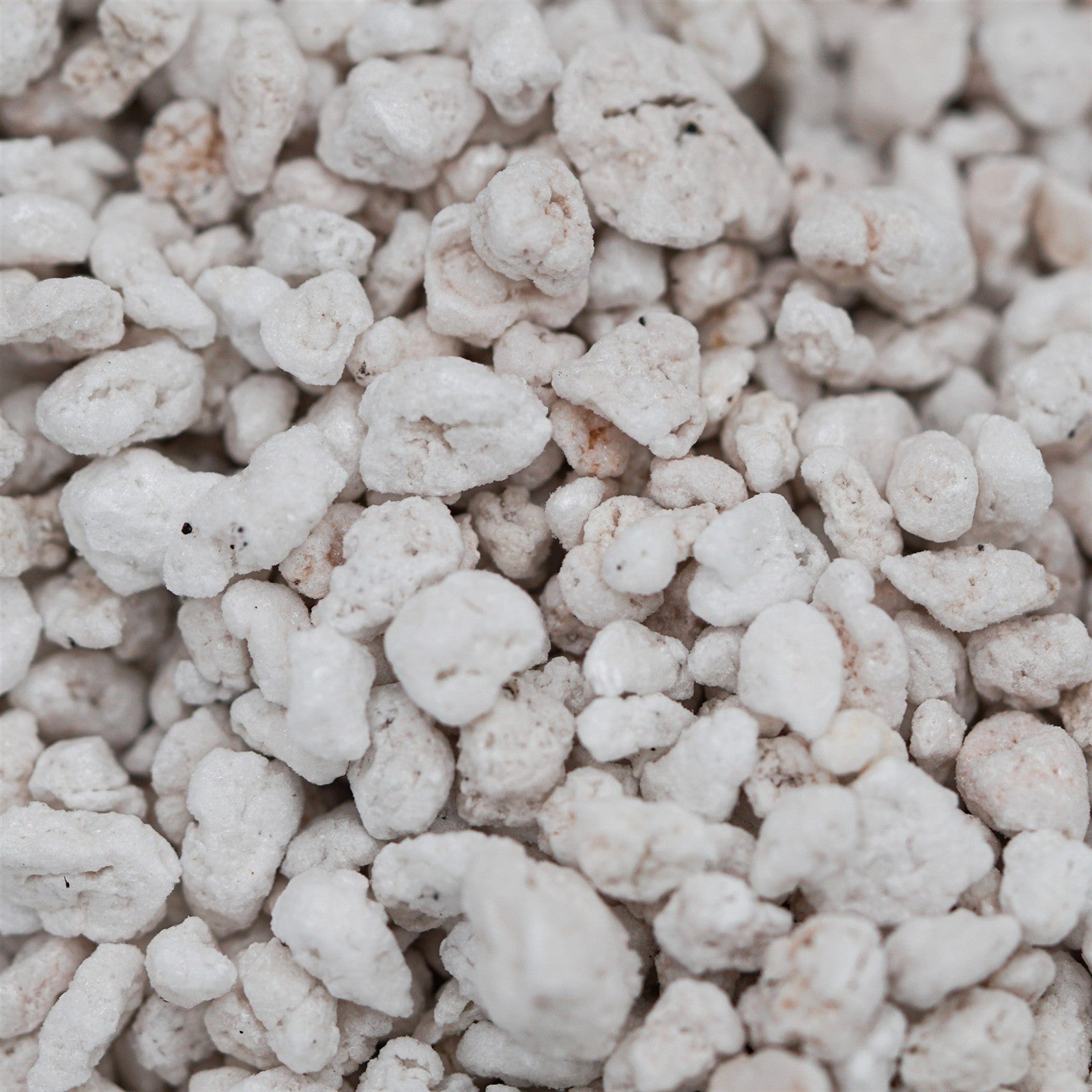 pasiora-perlite-premium-mineralisches-substrat image 3