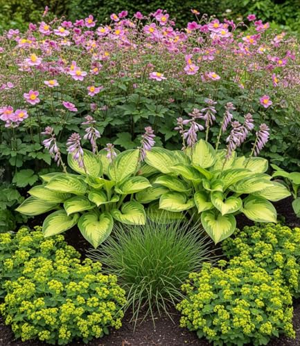 baldur-garten-staudenbeet-schattengarten-18er-set-im-9x9-cm-topf image 2