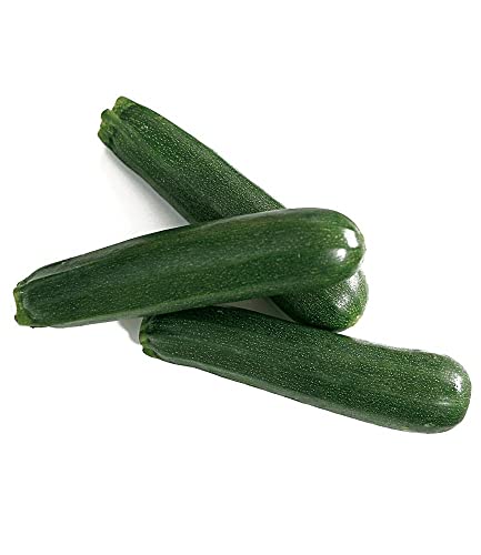 baldur-garten-veredelte-zucchini-kimber-f1-2-pflanzen image 6
