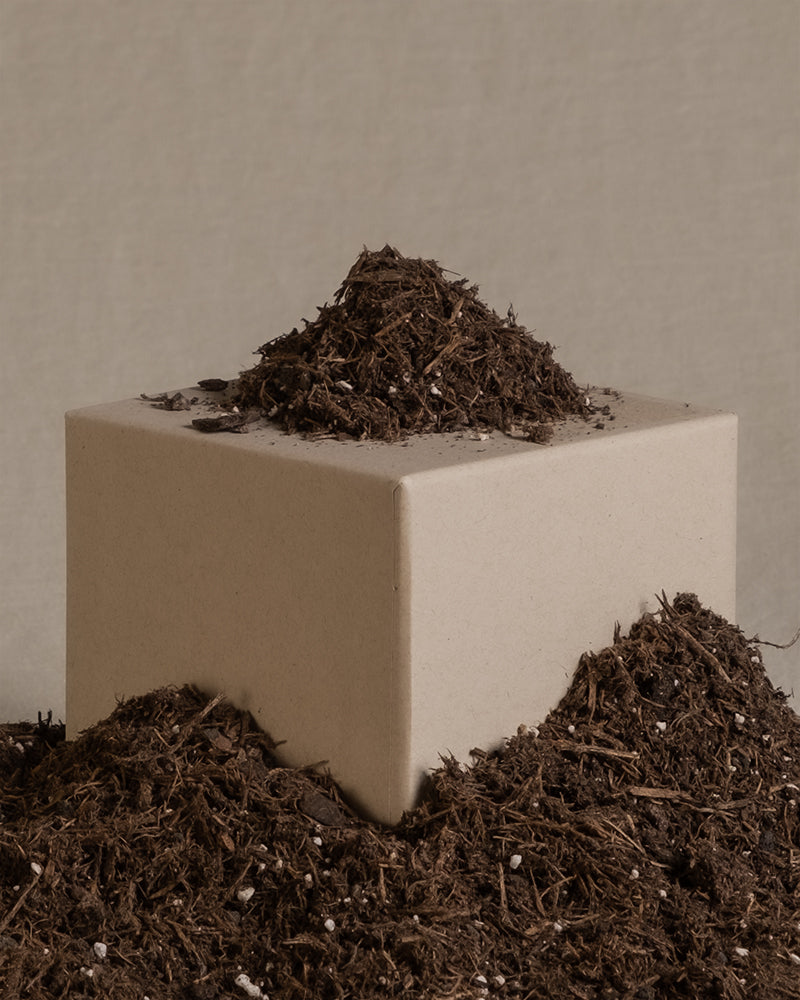 feey-erde-f-r-zimmerpflanzen-torffrei image 7